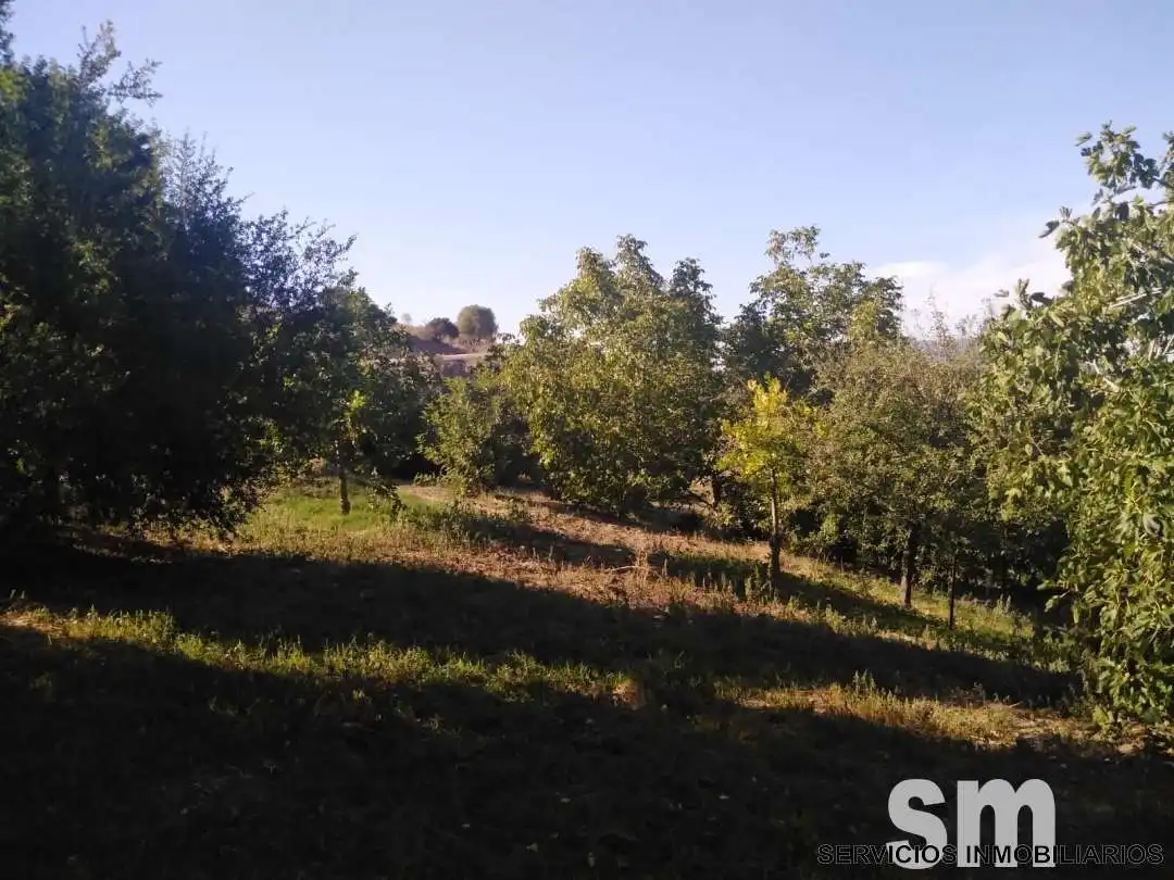 Terreno en venta en Zahara