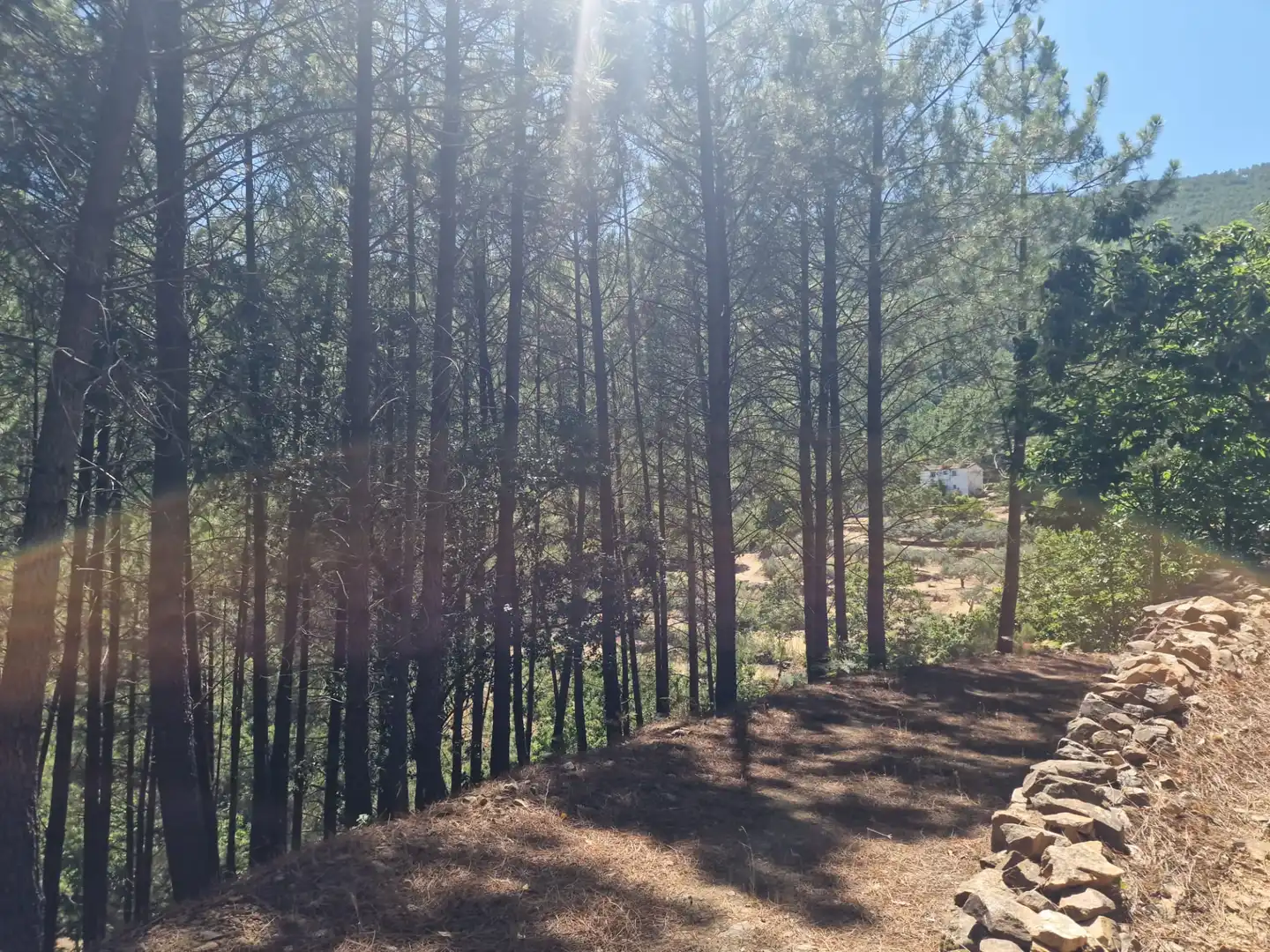 Terreno en venta en Guisando, Ávila