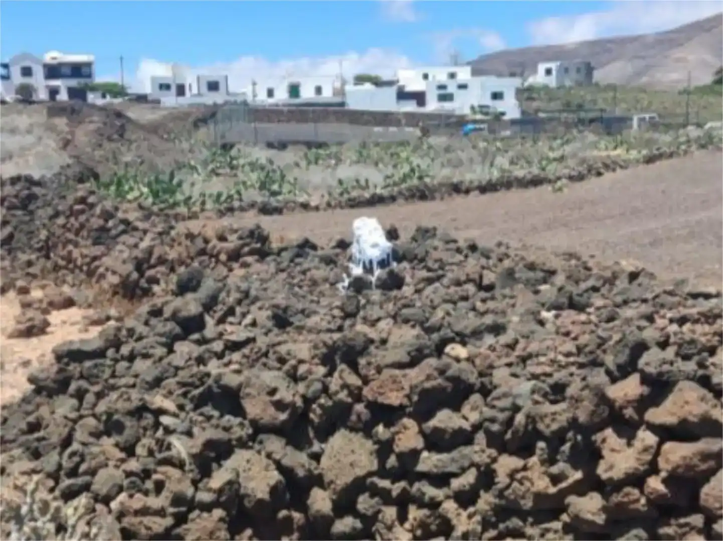 Vista exterior de Terreno en venta en Haría