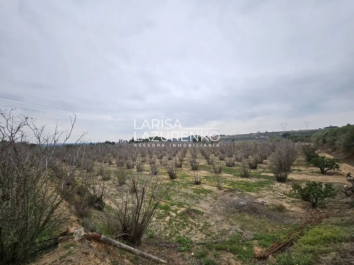Finca rústica en venda en Riudoms