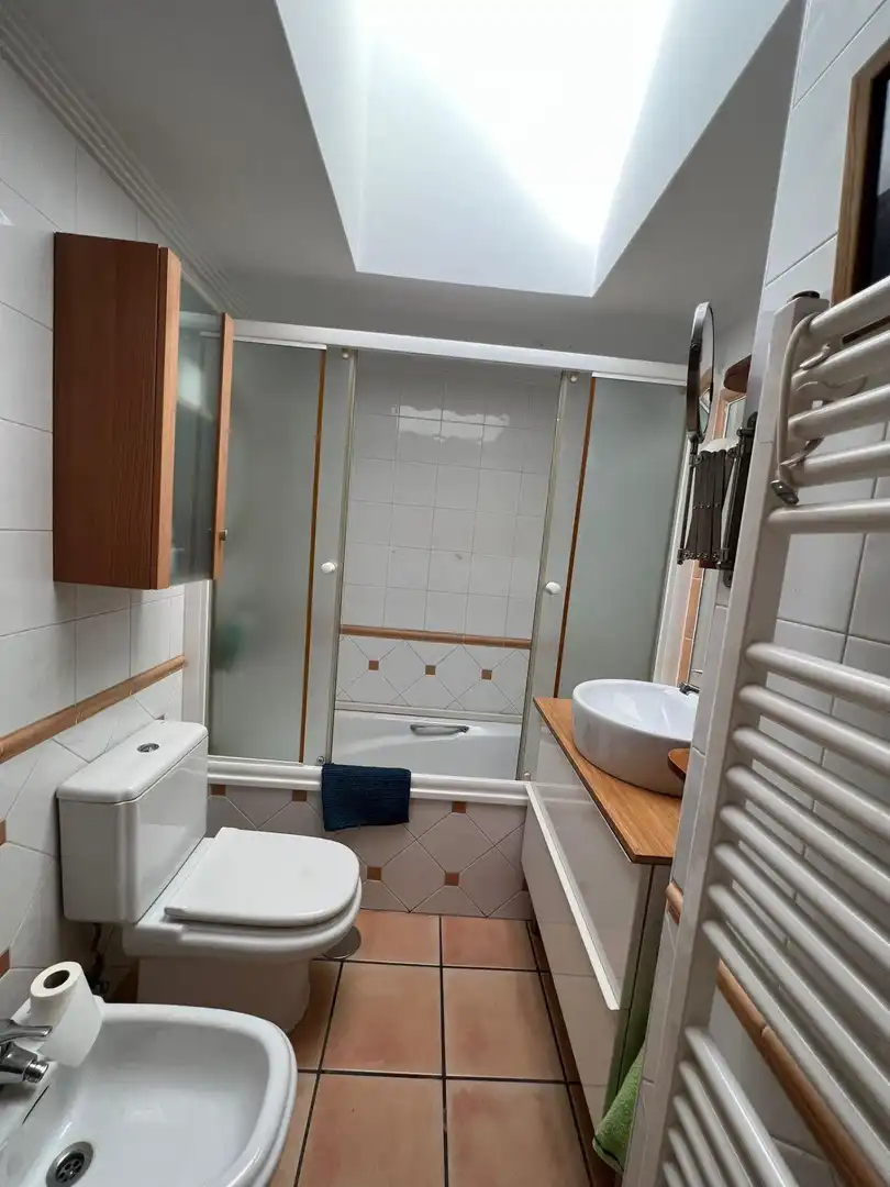 Attic for sale in Juan Carlos I