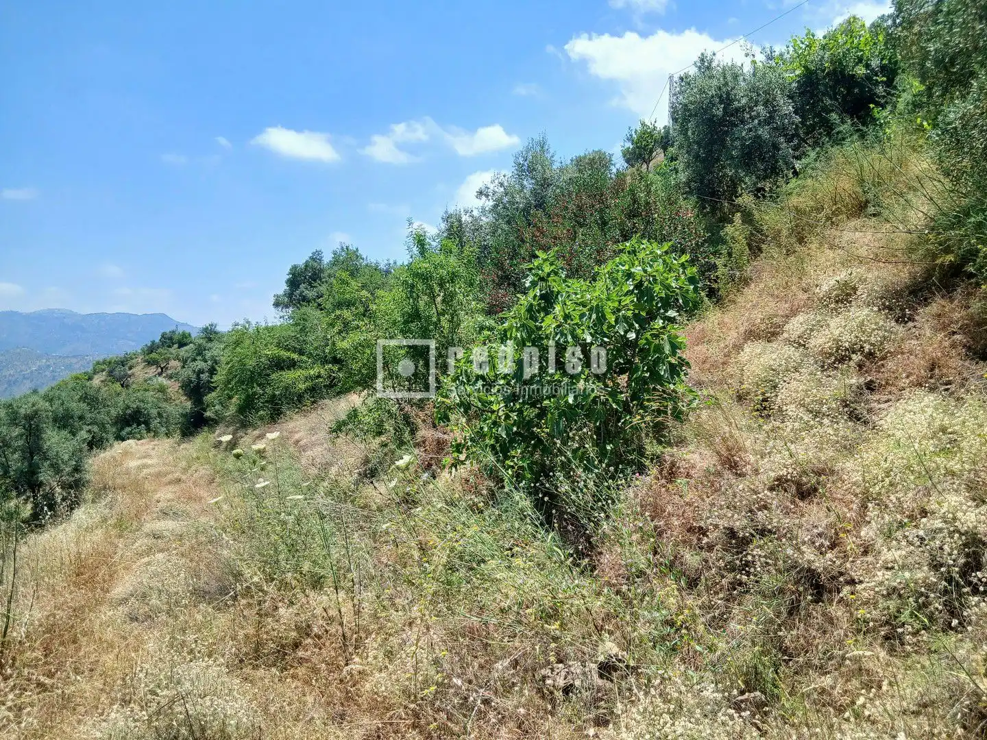 Terreno residencial en venta en Diseminado, imagen 17