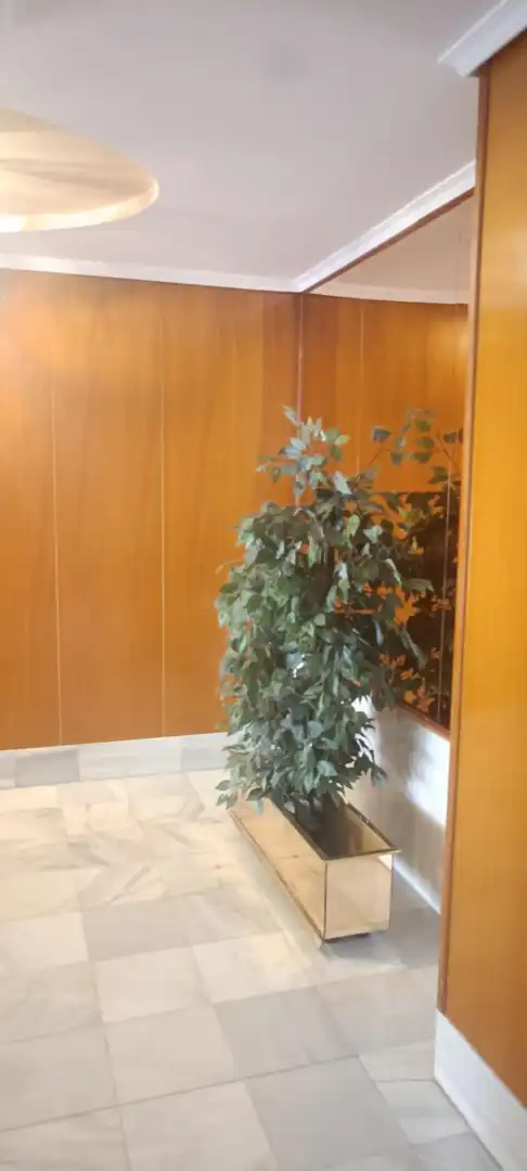 Piso en venta en Mula con Terraza y Balcón
