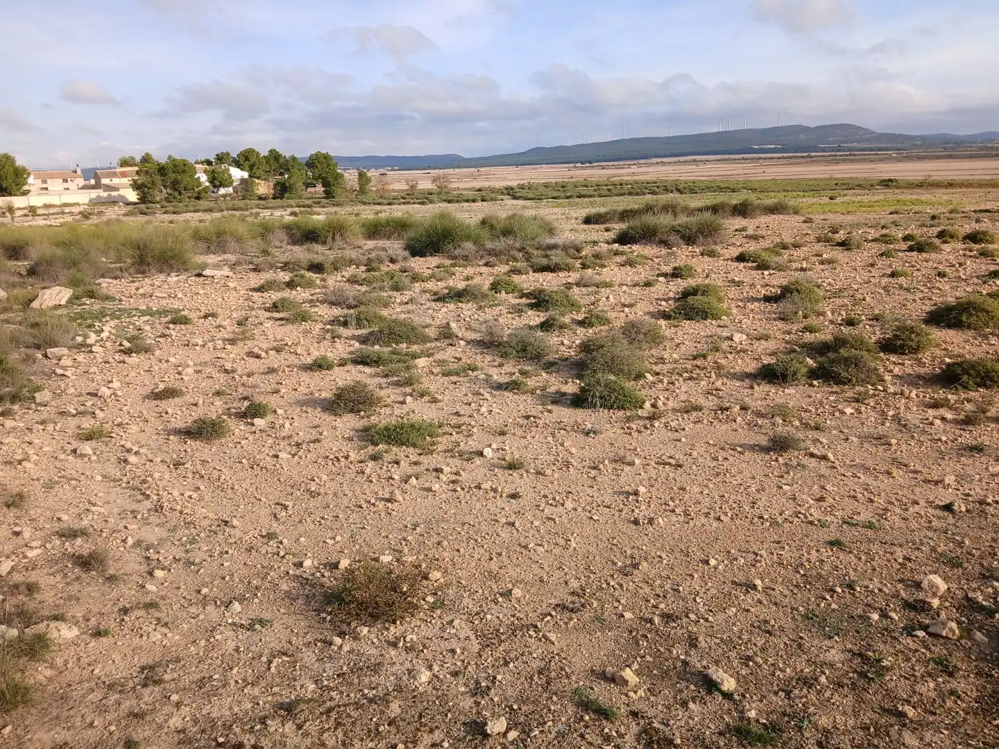 Residential land for sale in Yecla, imagen 7