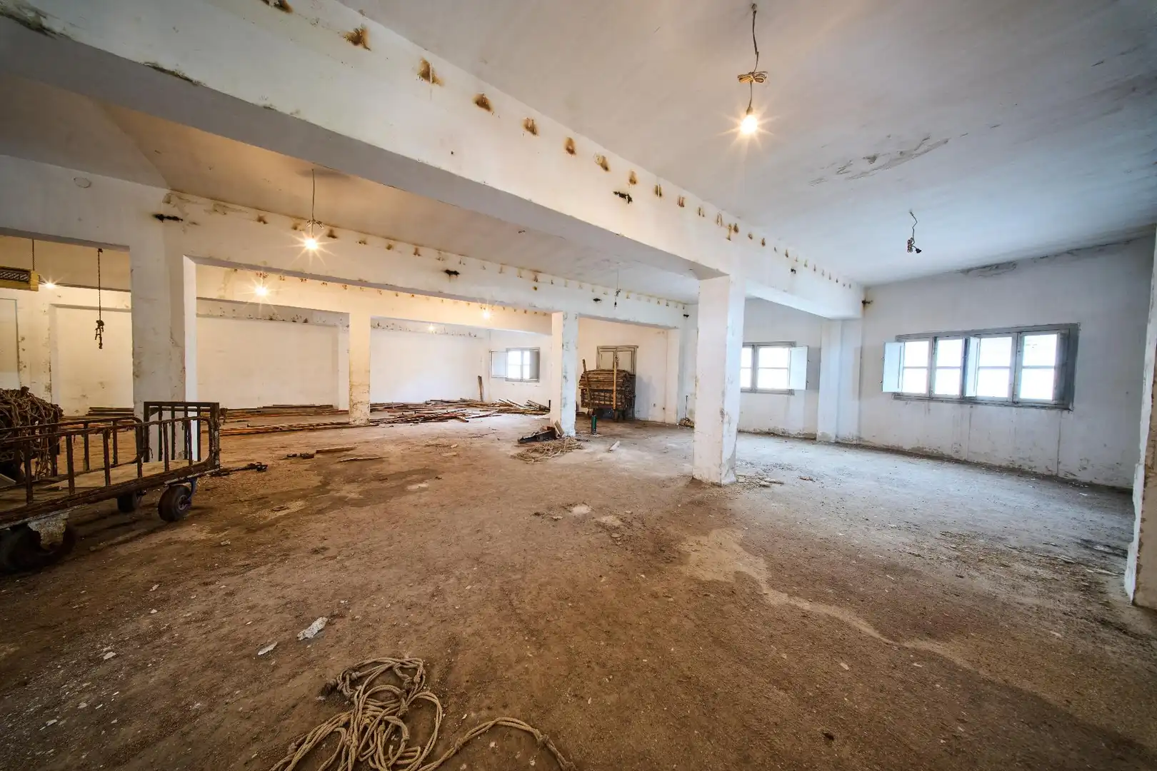 Inmuebles singulares con ascensor en venta en JOSE MORA, imagen 12