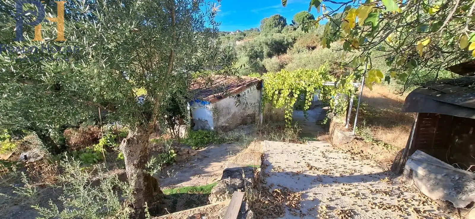 Maison à vendre à Arenas de San Pedro, imagen 11