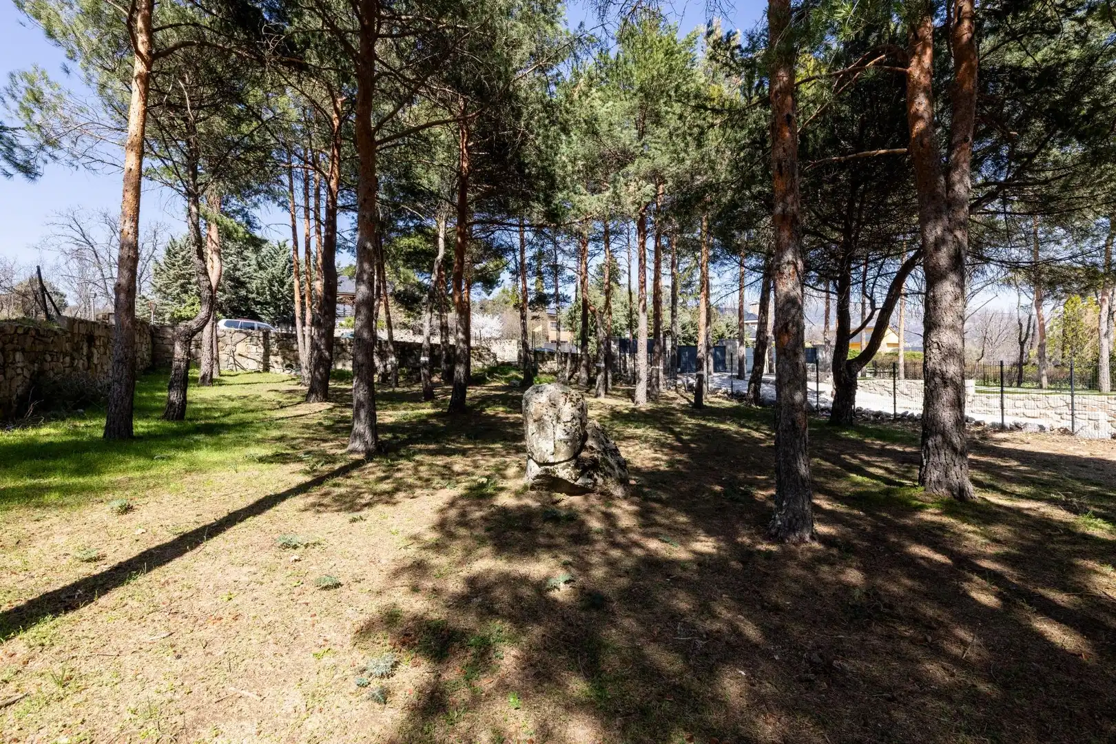 Jardín de Residencial en venta en Navacerrada
