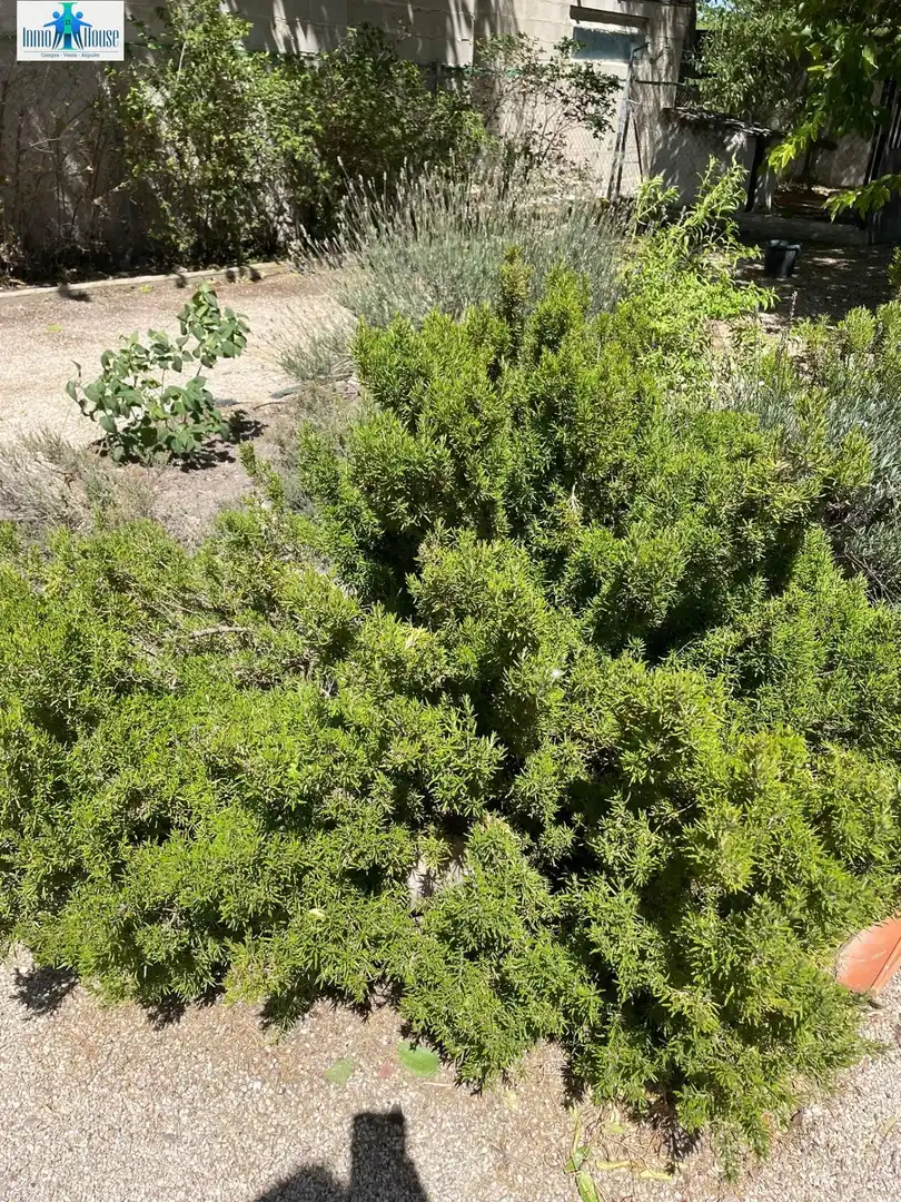 Terreno residenziale in vendita a Pedanías - Extrarradio, imagen 34