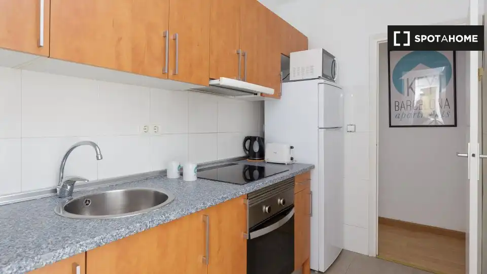 Cuina de Pis per a compartir en L'Hospitalet de Llobregat amb Aire condicionat, Calefacció i Moblat