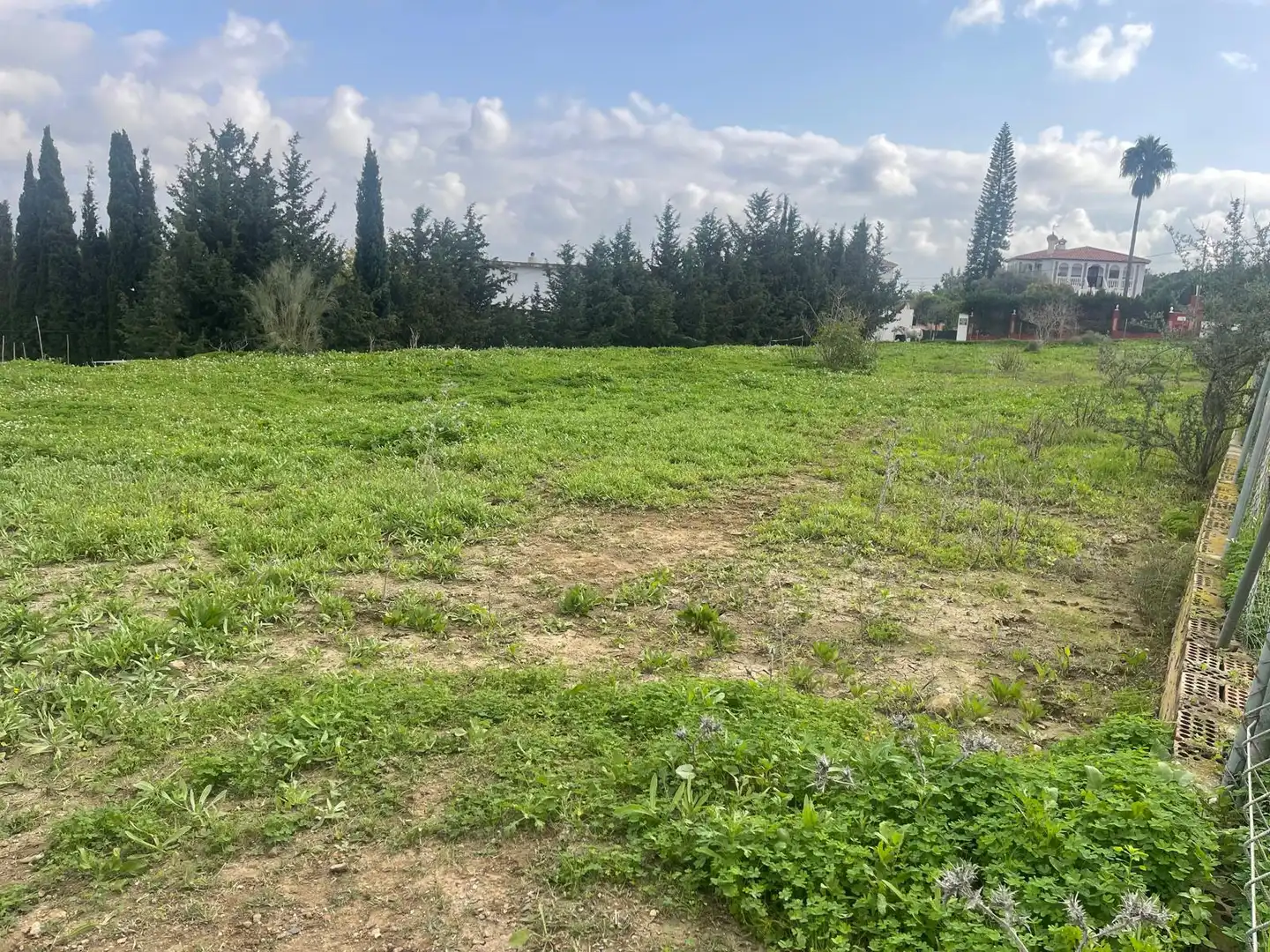Terreno rustico in vendita a El Romeral - Peñón de Zapata, imagen 8