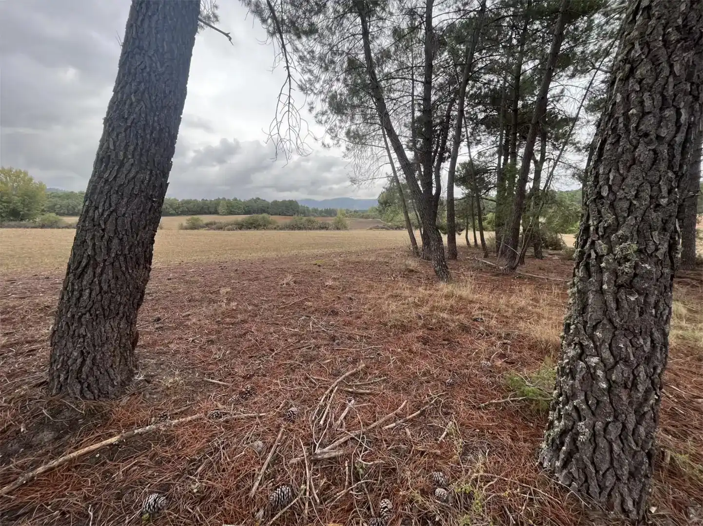 Finca rústica en venda en Villalba de la Sierra, Cuenca