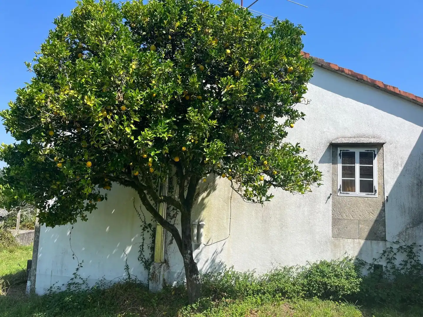 Vista exterior de Casa o xalet en venda en A Estrada  amb Jardí privat i Traster