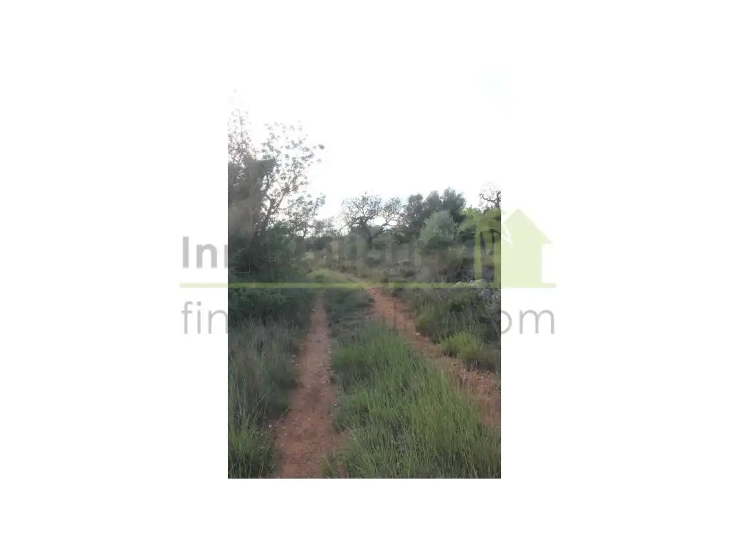 Terreny residencial en venda a Càlig, imagen 9