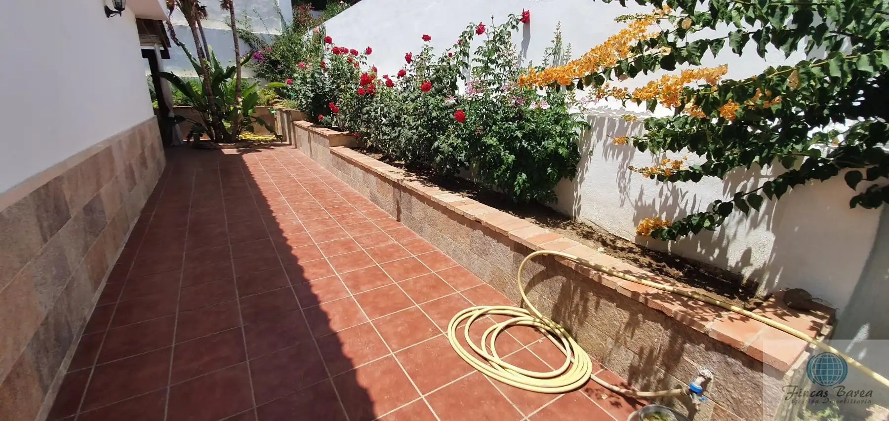Jardí de Casa o xalet de lloguer en Mijas amb Terrassa i Piscina