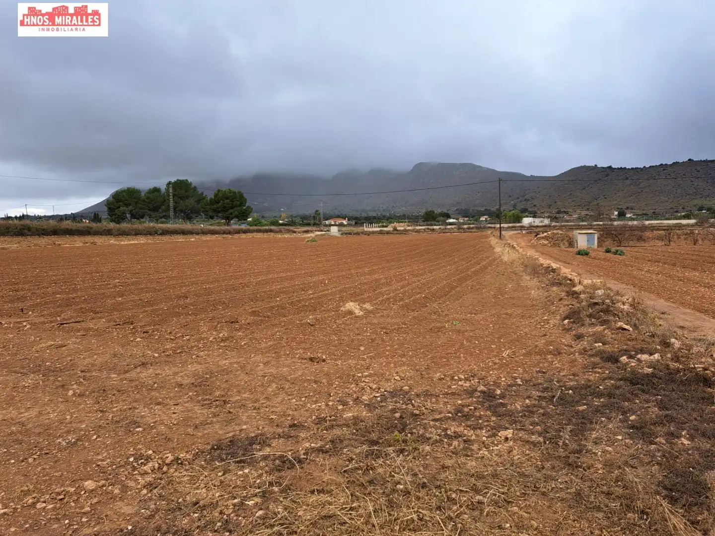Finca rústica en venda en Hondón de las Nieves / El Fondó de les Neus