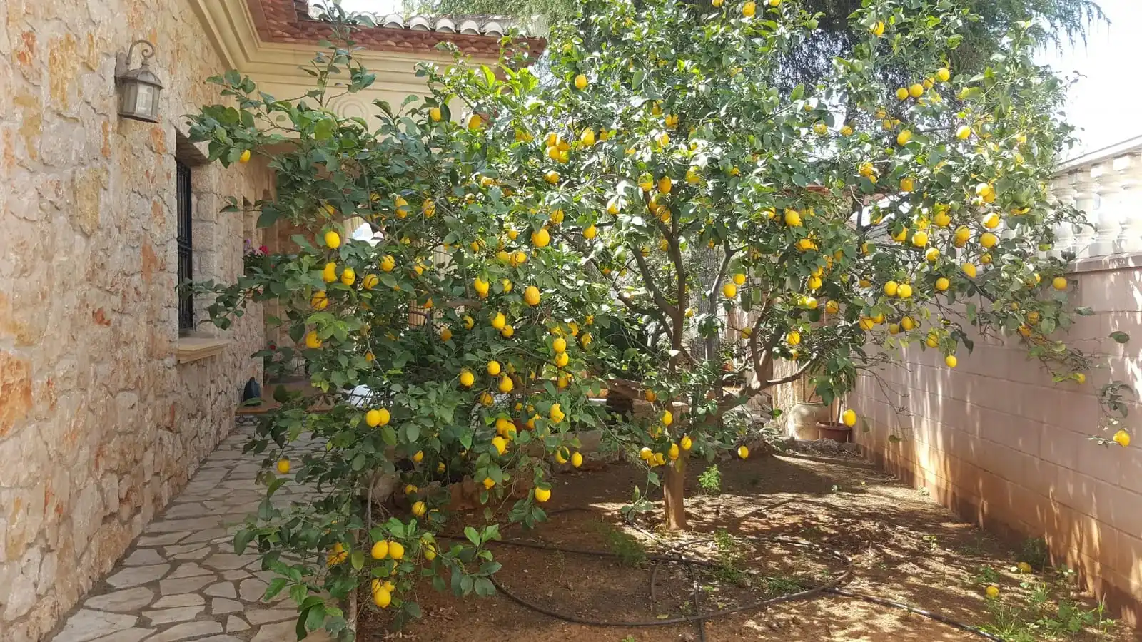 Villa con terrazza in vendita a Pego, imagen 6
