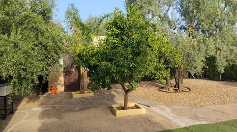 Foto 5 de Finca rústica en venda a La Carlota, Córdoba