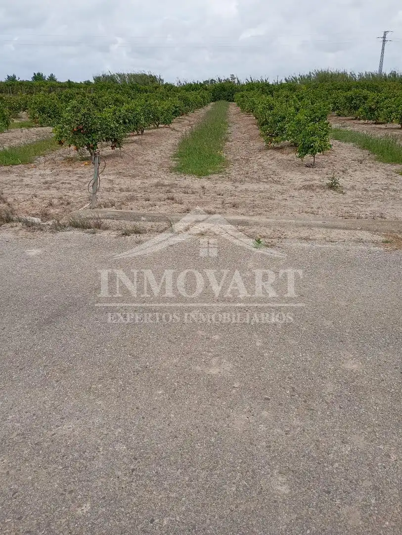 Terreny rústic en venda a Polinyà de Xúquer, imagen 4