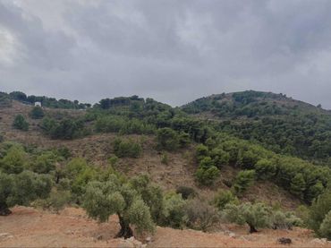Terreni e lotti in vendita a Yunquera