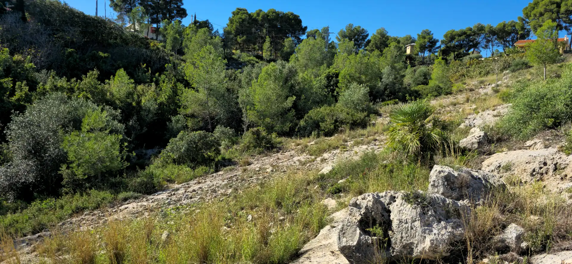 Wohnbaugrundstück zum Verkauf in Calle C/2 Lloma Molina 31, imagen 26