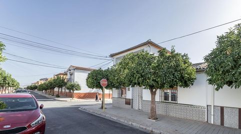 Photo 3 of Houses for sale in Calle Fray Leopoldo-peñuelas, 7, Láchar, Granada