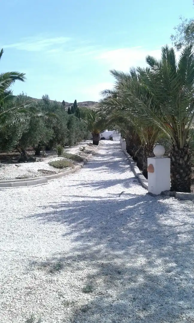 Exterior view of Houses for rent in Níjar  with Air Conditioner, Heating and Private garden