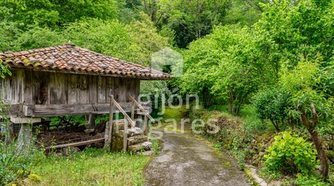 Photo 3 of House or chalet for sale in Melarde - Lg Melardi, 31, Piloña, Asturias