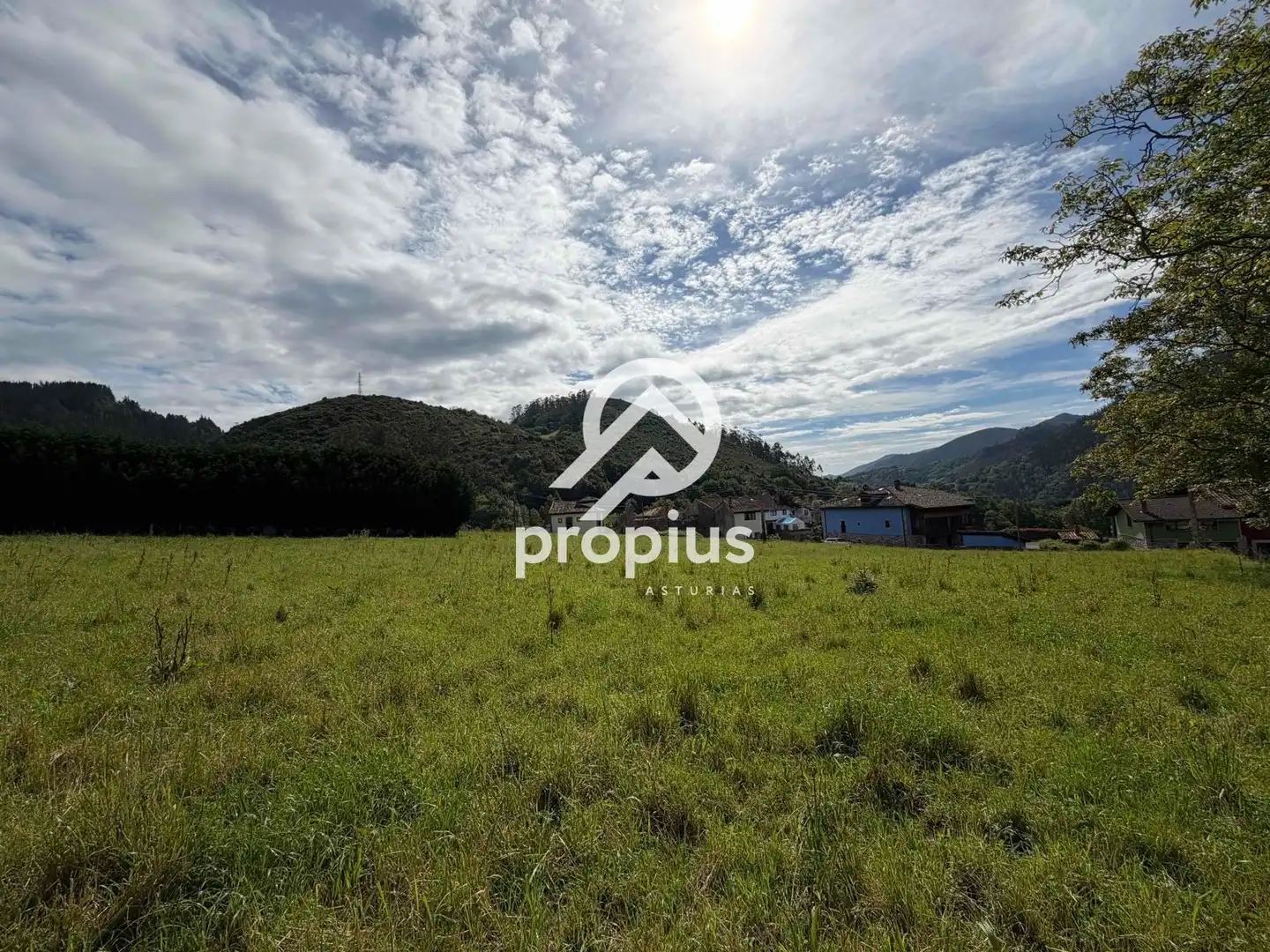 Rural land for sale in Bode, imagen 15