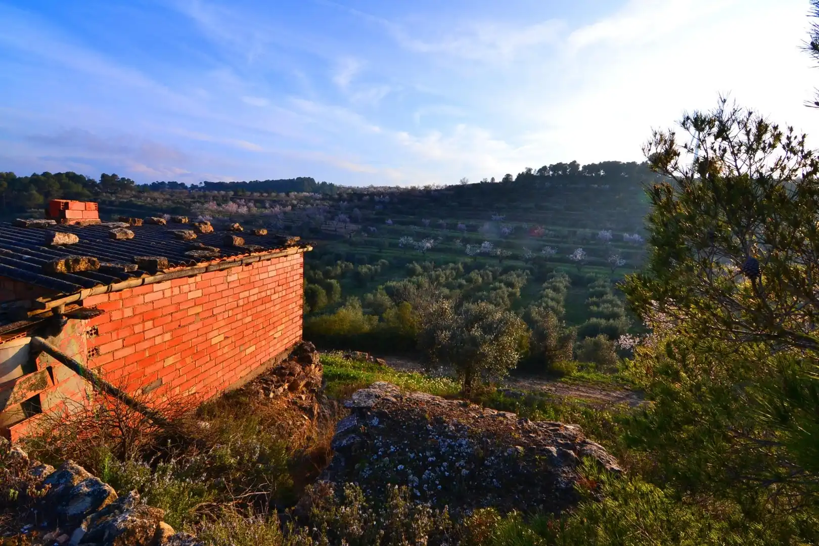 Rural land for sale in Corbera d'Ebre, imagen 61