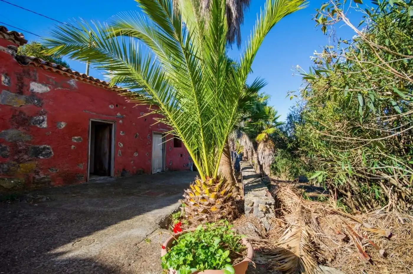 Jardí de Casa o xalet en venda en Icod de los Vinos amb Terrassa, Traster i Balcó
