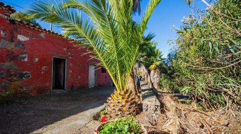 Foto 5 de Casa o chalet en venta en Vecinal el Molledo Tres, La Vega - El Amparo - Cueva del Viento, Icod de los Vinos