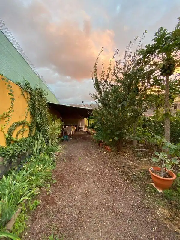 Jardí de Finca rústica en venda en Santa María de Guía de Gran Canaria