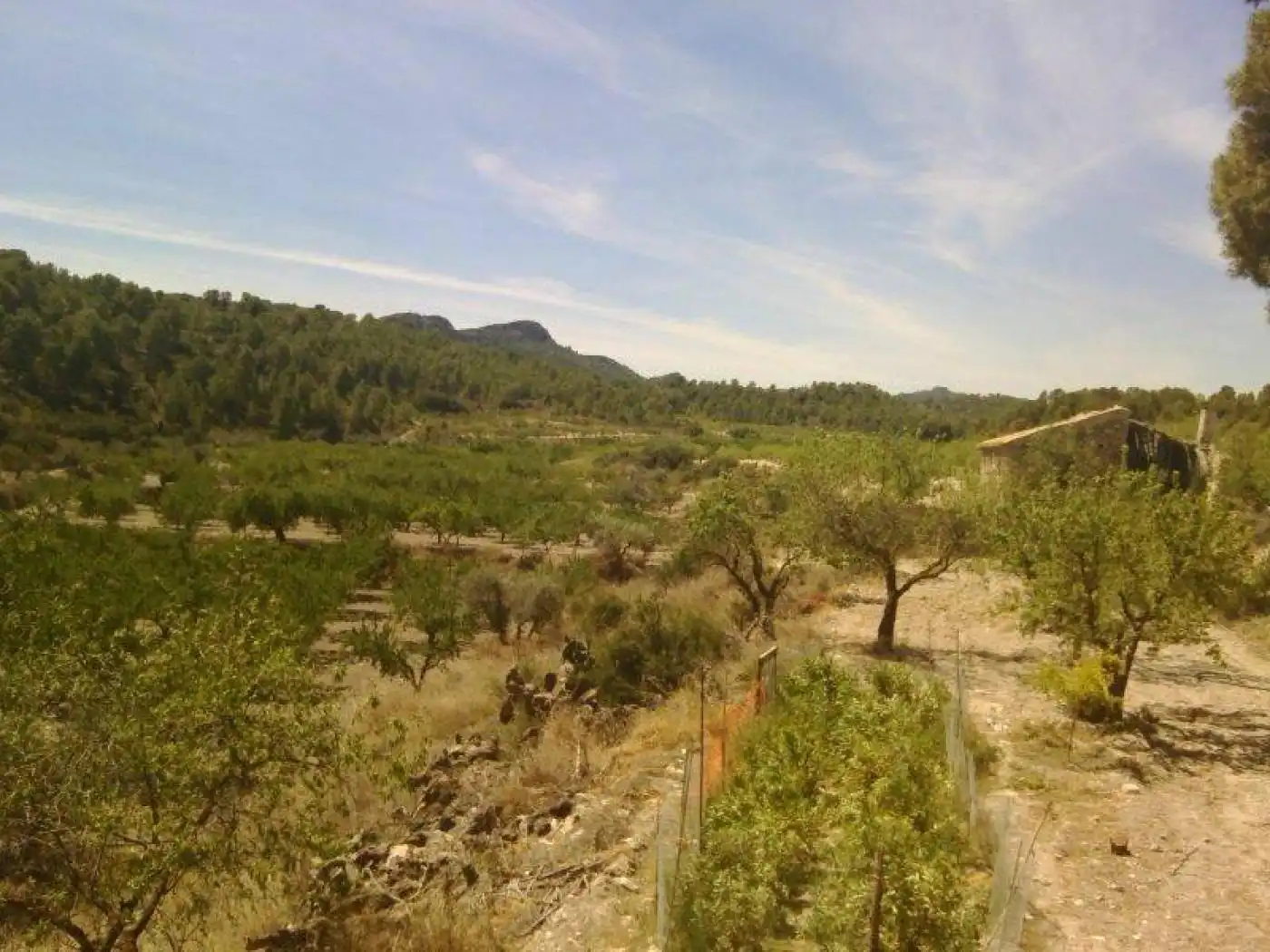 Terreny rústic en venda a Moratalla, imagen 9