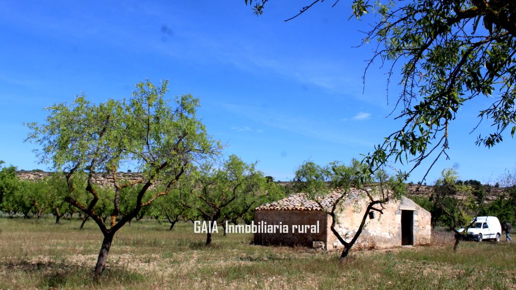 Finca rústica en venda en Fabara