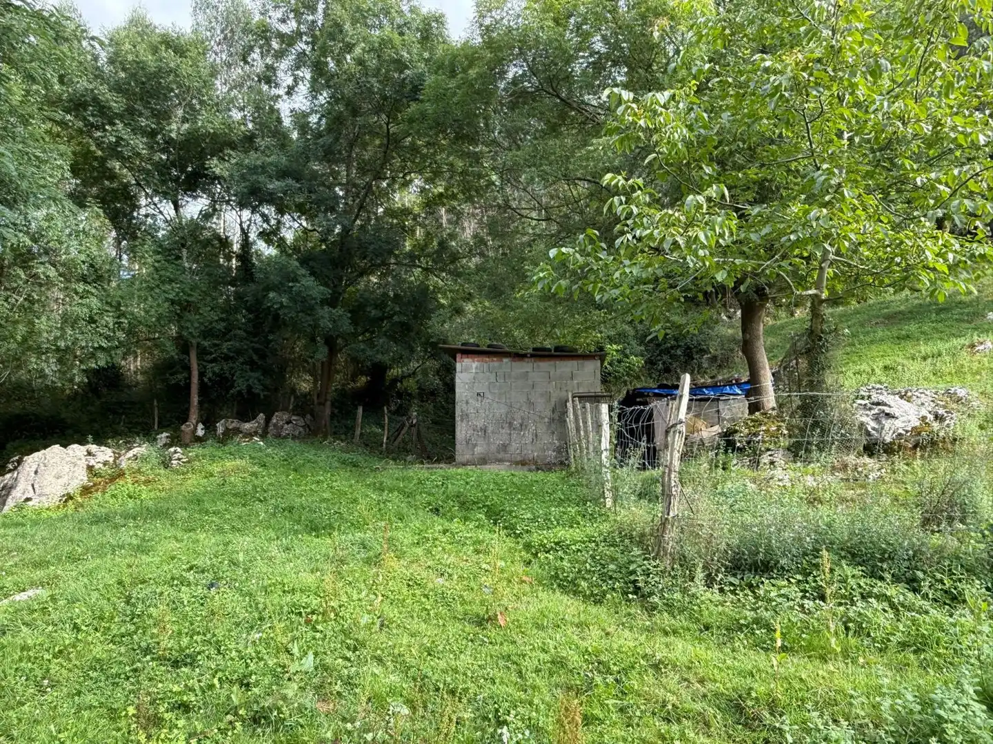 House for sale in Perujo, imagen 53