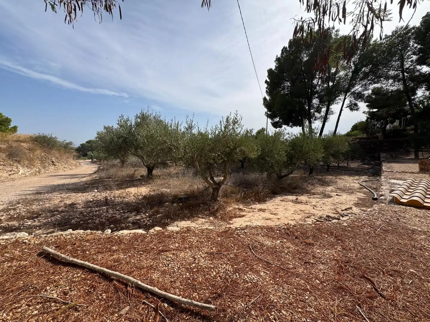 Country homes for sale in Murcia  with Heating, Private garden and Terrace