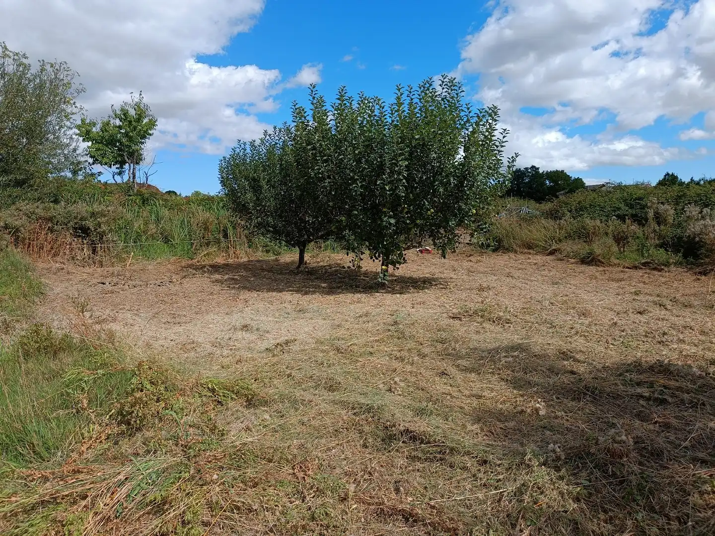 Residential for sale in Castrocalbón