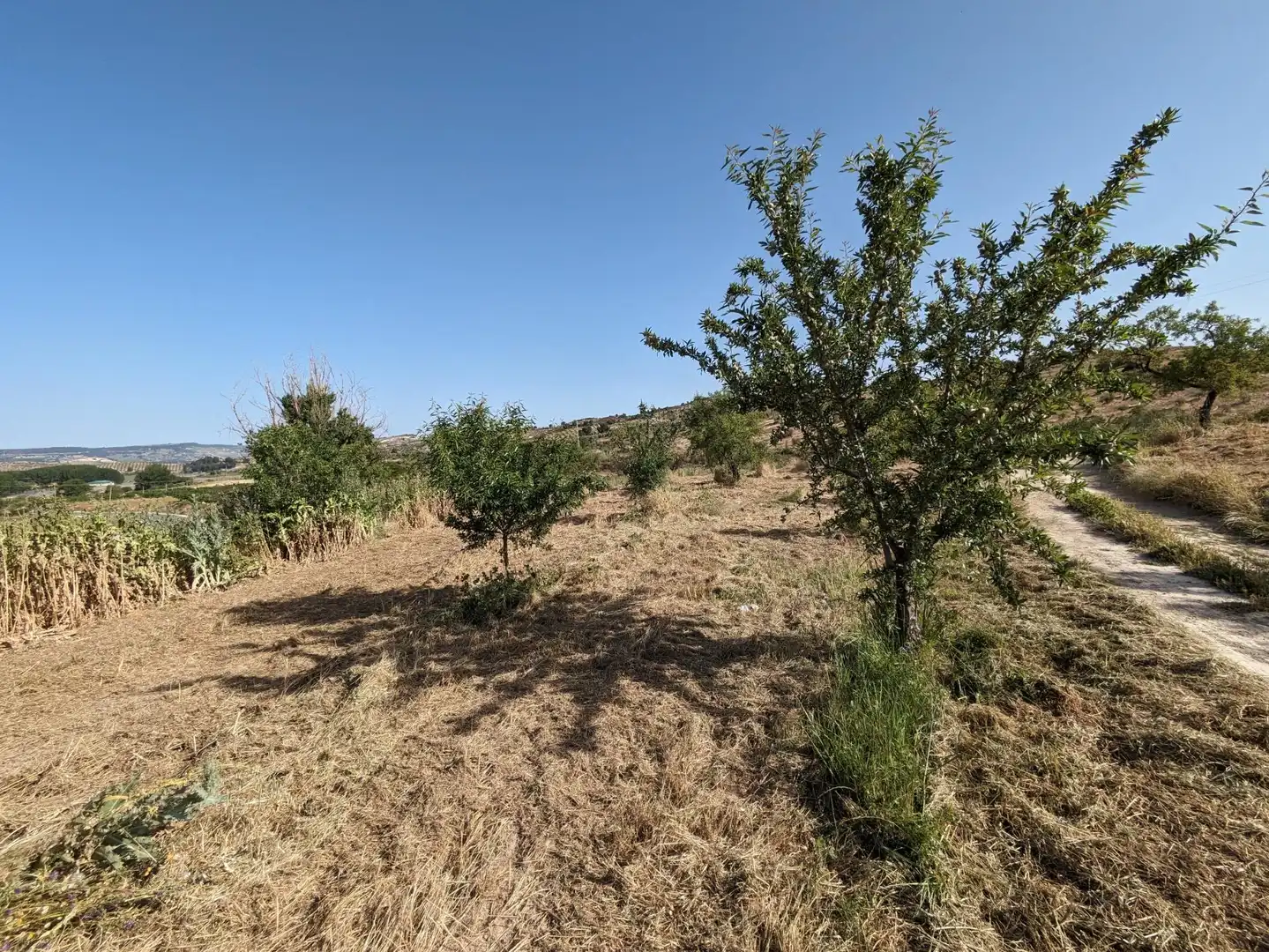 Residential land for sale in EXTRARRADIO, imagen 3