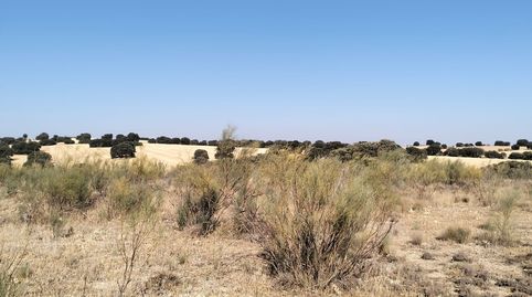 🌿 FINCA RÚSTICA DE 2 HECTÁREAS EN VENTA – MUNERA 🌿, immagine 2