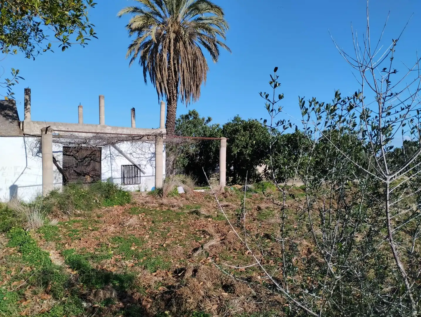 Finca rústica en venta en La Vall d'Ebo
