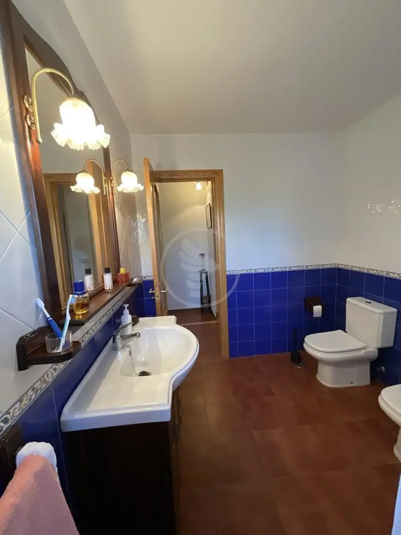 Baño de Finca rústica en venta en Linares con Piscina