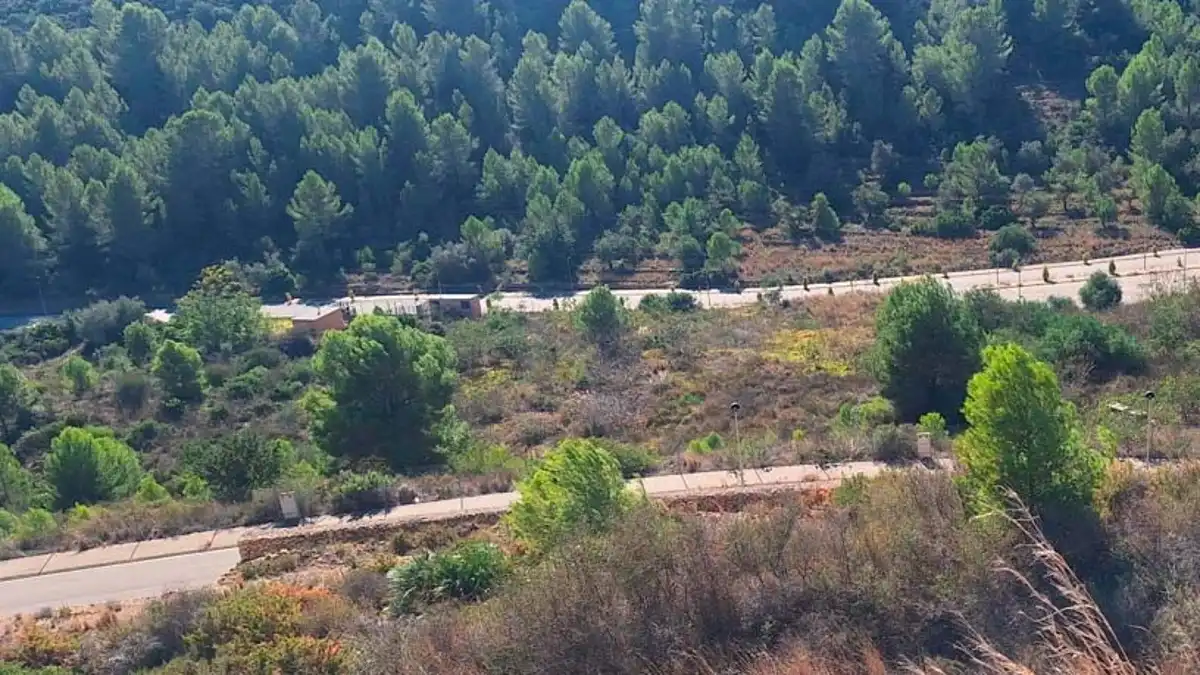 Terreno residencial en venta en Carrer dels Ametlers, imagen 6