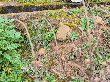 Terreno industrial en venta en Murillo de Río Leza