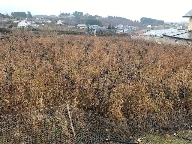 Terreni e lotti in vendita a Cabañas Raras, imagen 2