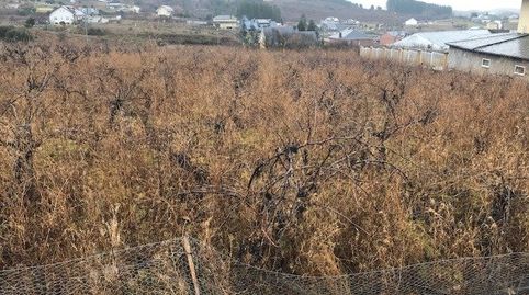 SOLAR EN VENTA EN CABAÑAS RARAS, imatge 2