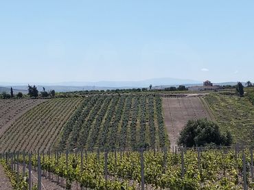 Terreni e lotti in vendita a Lebrija