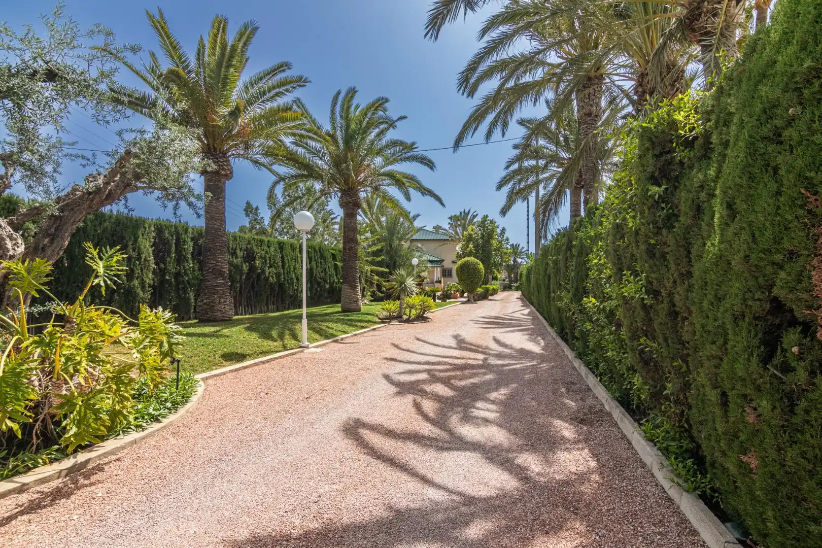 Vista exterior de Casa o chalet en venta en Elche / Elx con Jardín privado, Terraza y Piscina
