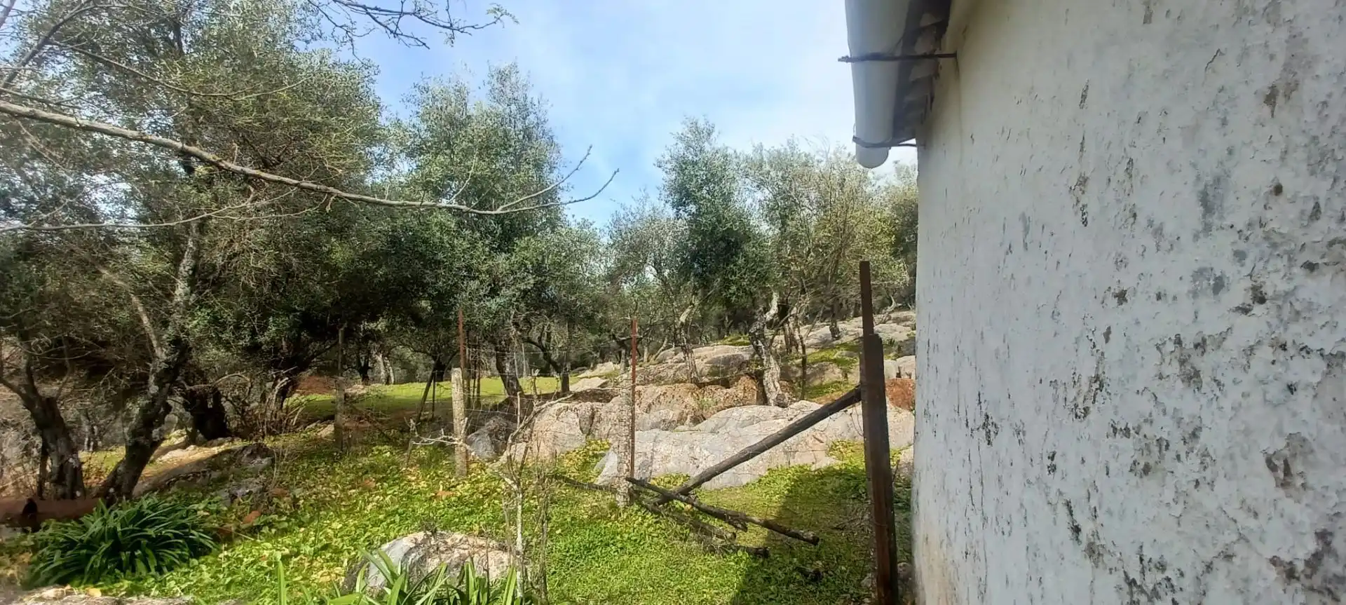 Terreni e lotti in vendita a Constantina, imagen 42