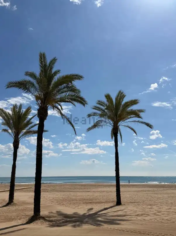Vista exterior de Piso en venta en Cullera con Aire acondicionado, Terraza y Balcón