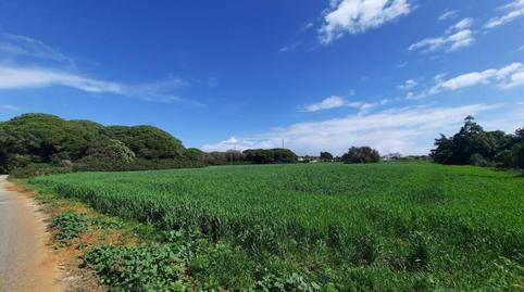 Photo 2 of Land for sale in Ruperto, 1, Roche, Cádiz